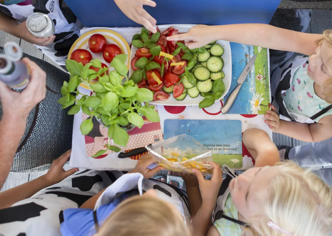 10 dicas para prevenir e tratar a obesidade infantil